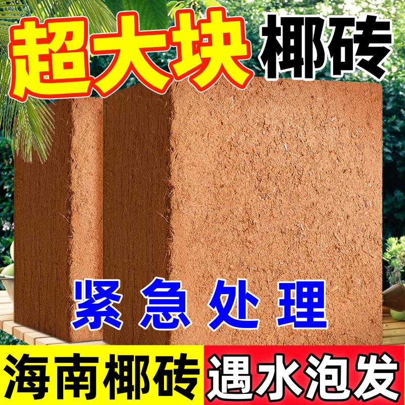 海南椰砖营养土5年免施肥