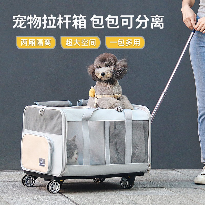双猫出行，多宠出行宠物拉杆箱