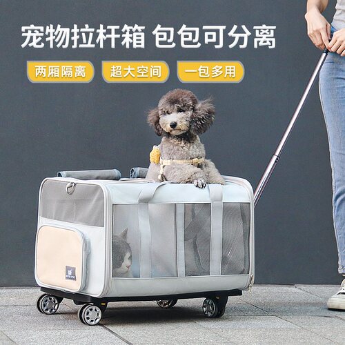 双猫出行，多宠出行宠物拉杆箱