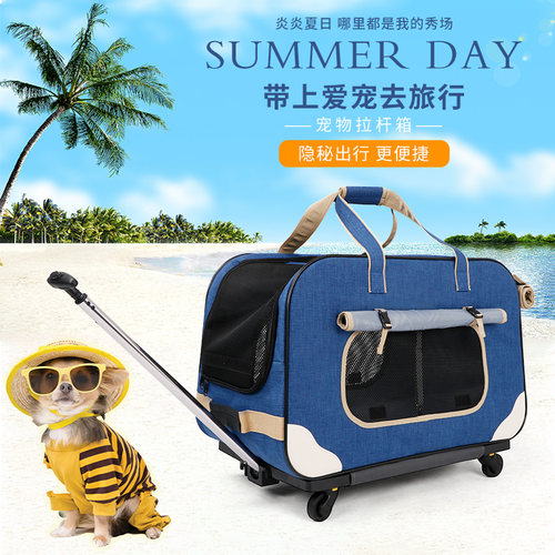 DODOPET狗狗猫咪出门外出拉杆箱