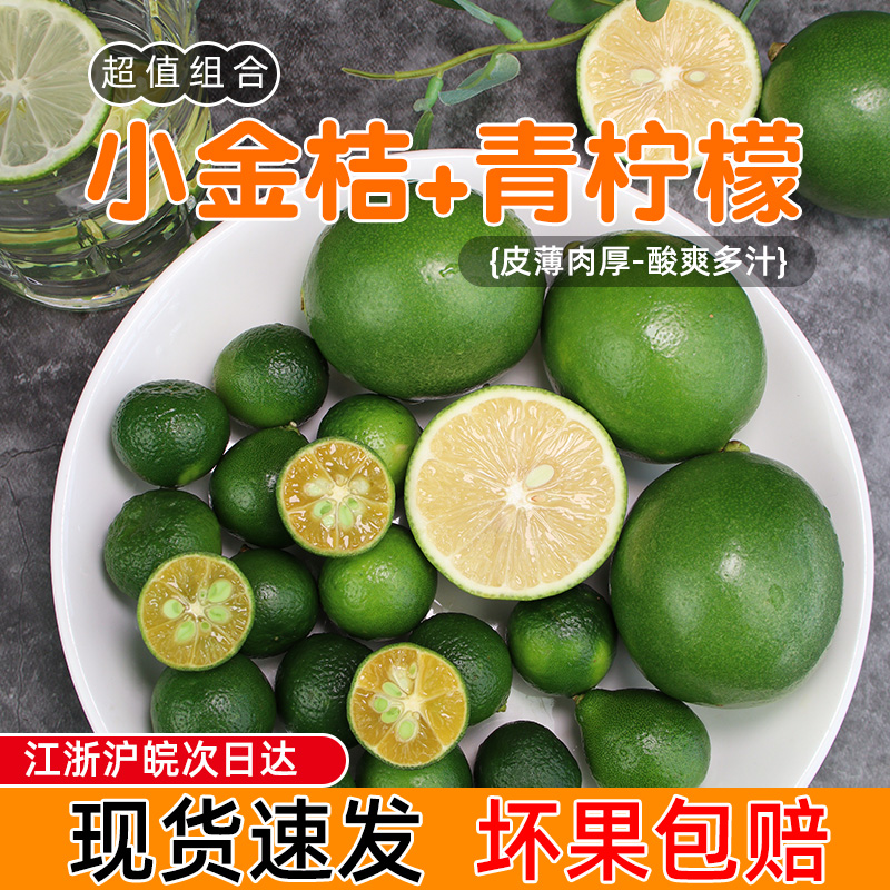 新鲜海南小金桔青柠檬组合水果非无籽绿青橘自制果茶食材多省包邮