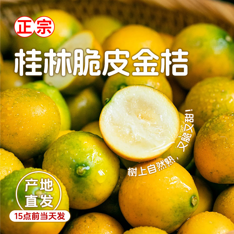脆皮金桔脆甜爽口【桂林直发】