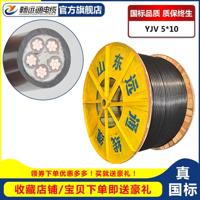 国标平方铜芯户外电缆线厂设