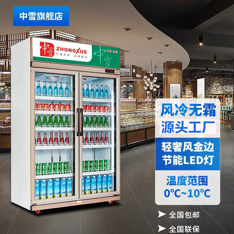 中雪风冷无霜展示柜玻璃门冰柜冷藏保鲜双门商用立式冷柜啤酒饮料