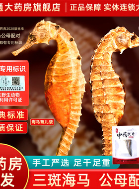 海马干货三斑海马中药材正品海马一公一母中药饮片海马药材泡酒