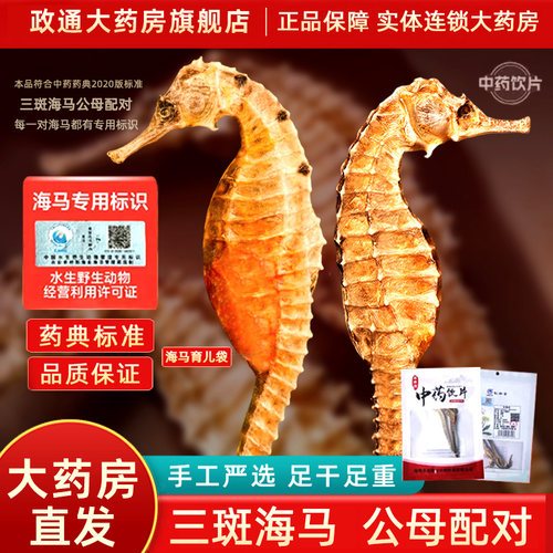 海马干货三斑海马中药材正品海马一公一母中药饮片海马药材泡酒