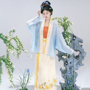 花朝记｜清月辞｜宋制汉服飞机袖旋裙两片裙天丝绣花传统日常春夏