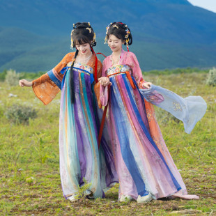 花朝记｜饮春酒｜唐制汉服对襟衫一片式齐胸褶裙披帛绣花双色春夏