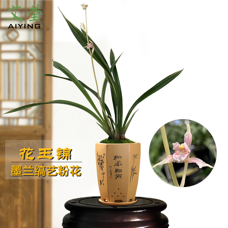 网友分享在meiguo.com的图片