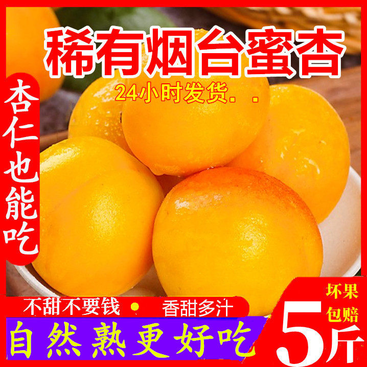 山东蜜杏大黄杏子大果