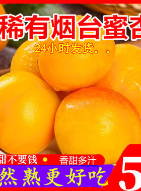 山东蜜杏大黄杏子大果