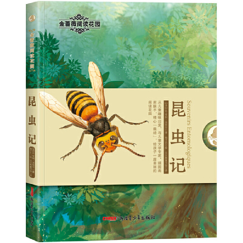 金蔷薇阅读花园·昆虫记(《昆虫记》讲述了昆虫的体貌特征,生活习性等