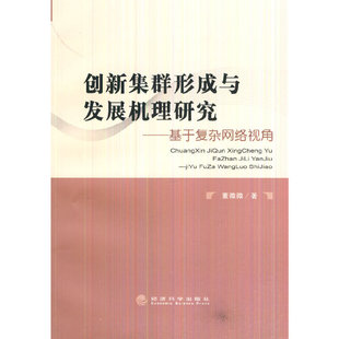 创新集群形成与发展机理研究——基于复杂网络视角 当当网正版 书籍
