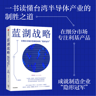 【当当网正版书籍】蓝湖战略 全面解析了台积电、联发科等知名半导体企业和高科技公司的发展经验