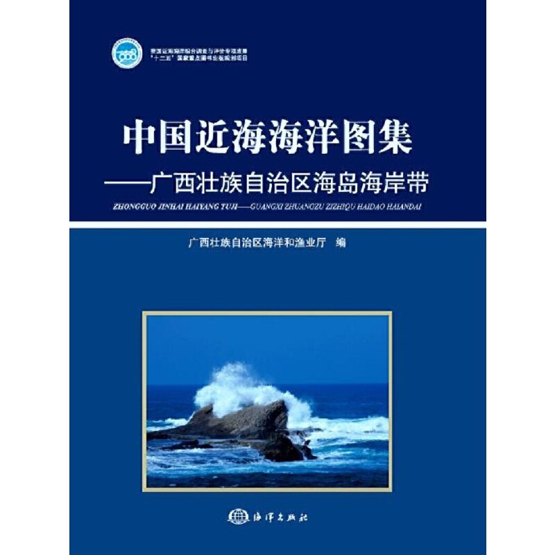 中国近海海洋图集——广西壮族自治区海岛海岸带属于什么档次？