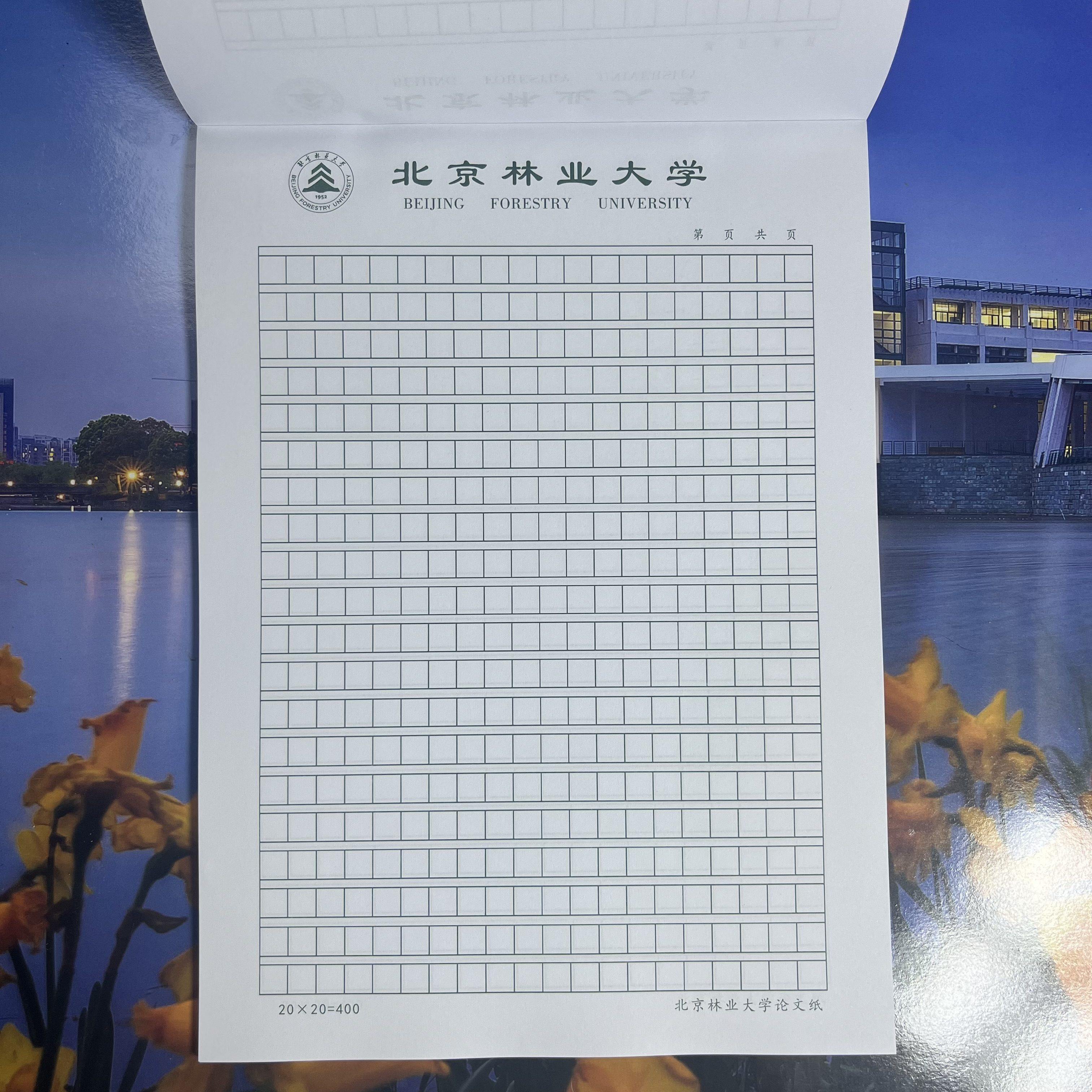 北京林业大学横线A4稿纸 抬头信纸信笺草稿纸作业纸思想报告用纸