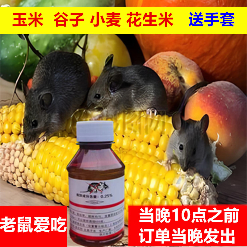 老鼠水剂母液化工药特效强力老鼠克星养殖场商家用耗子神器全端