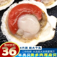 超大扇贝肉 半壳贝 新鲜带黄蒜蓉粉丝扇贝鲜活冷冻海鲜夏夷贝包邮
