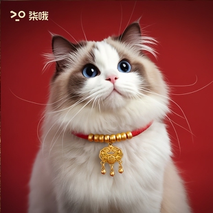 新年宠物项圈猫狗长命锁平安喜庆红绳金珠宠物项圈小狗项链可调节
