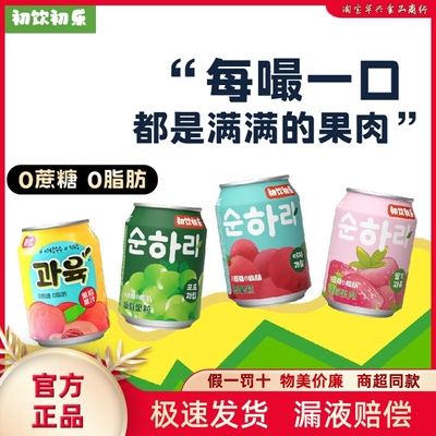 初饮果肉果汁饮料238ml大果粒