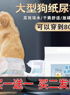 中大型犬纸尿裤公狗尿不湿母狗生理裤月经裤金毛大狗狗幼犬防乱尿