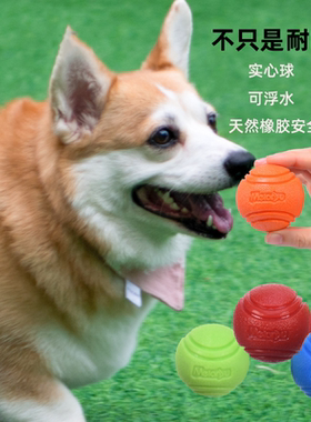 狗狗玩具耐咬磨牙宠物橡胶玩具球解闷神器益智磨牙棒狗幼犬大型犬