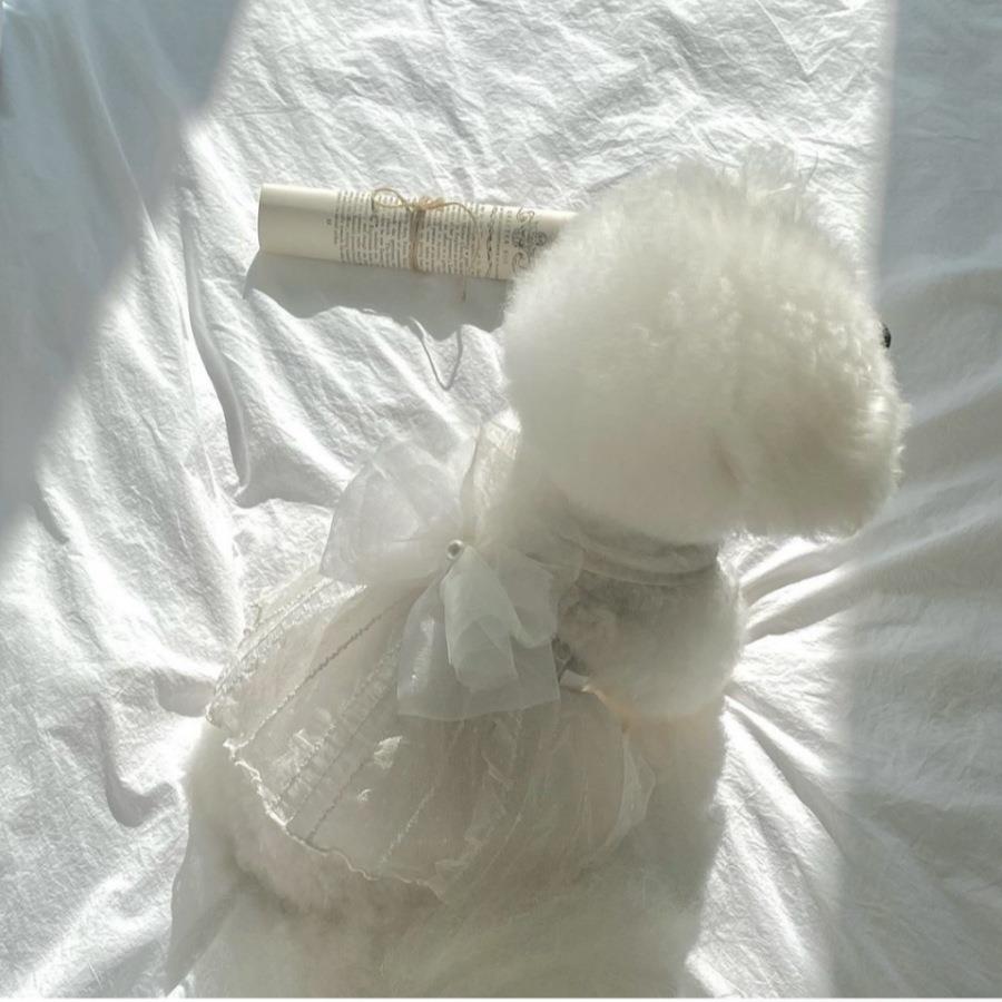 宠物猫咪狗狗衣服公主裙婚纱礼服小型犬泰迪比熊博美宠物衣服