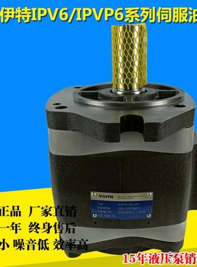 福伊特齿轮泵IPVP/IPV 6-64/80/100/125 101注塑机油泵伺服液压泵