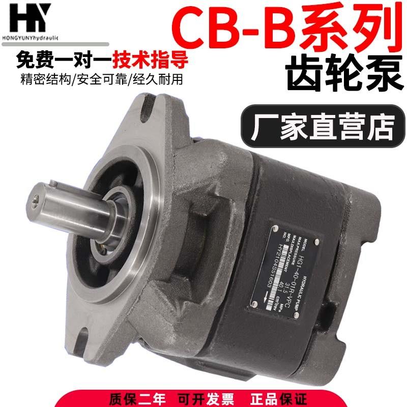 现货液压泵齿轮泵HG1/HG0/HG2-80/125-01R-VPC内啮合液压伺服油泵