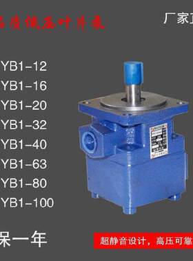 YB打包机车床叶片油泵YB1/4/6/8/10/12/14/16/20/25/32/50/63/100