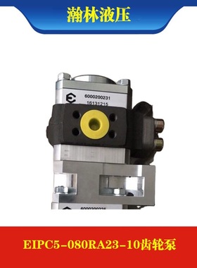 ECKERLE艾可勒EIPC5-080RA23-10注塑机伺服齿轮泵EIPC3.5.6液压泵