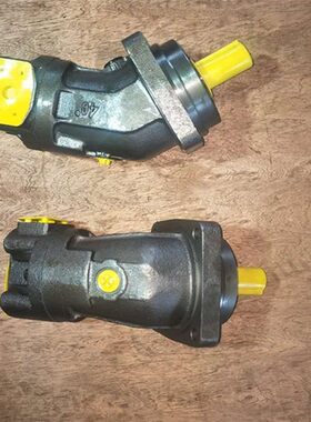 苏州力源定量泵A2F23R1P4吊车液压泵