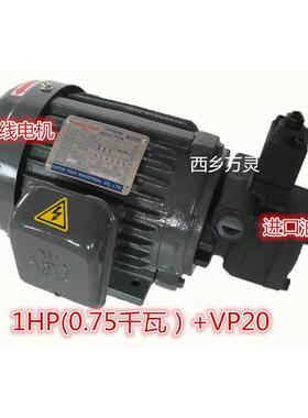 叶片泵 油泵VP20 1HP电机 0.75 千瓦 1HP+VP20 1HP加VP20