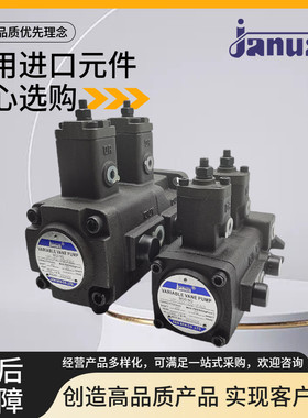 JANUS台湾登胜 VP-20-20-FA3 FA2 FA1 30-30 40-40 15-15双联片泵