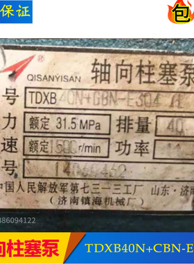 轴向柱塞泵双联泵TDXB40N+CBN-E304/L济南镇海机械厂TDXB40N+40N/