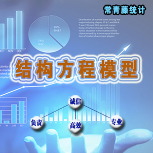 结构方程模型amos分析spss数据调整问卷中介调节路径信度效度检验