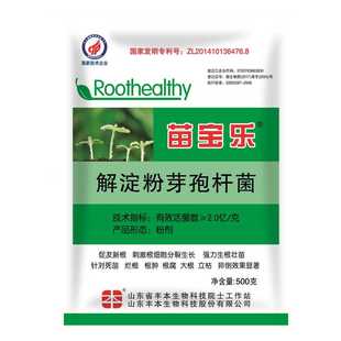 500克解淀粉芽孢杆菌针对死苗烂根根腐立枯强力生根壮苗改善土壤