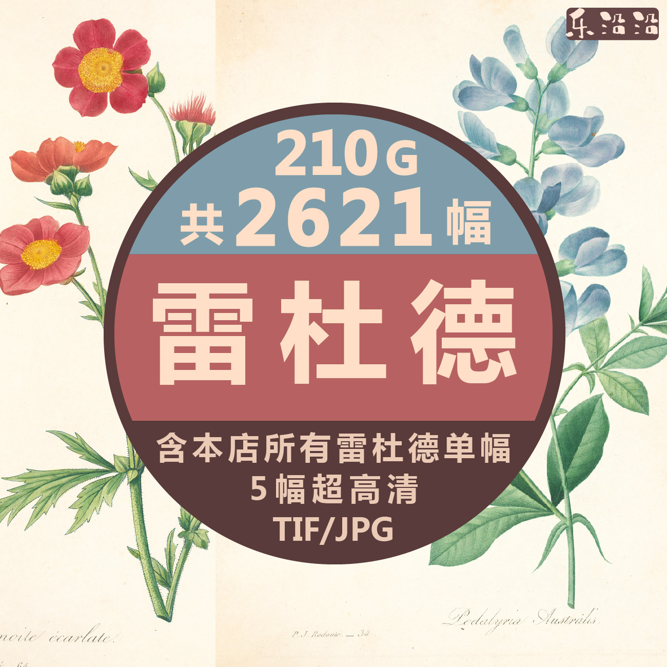 雷杜德高清电子图集水彩花卉鲜花植物玫瑰百合装饰画临摹打印壁纸