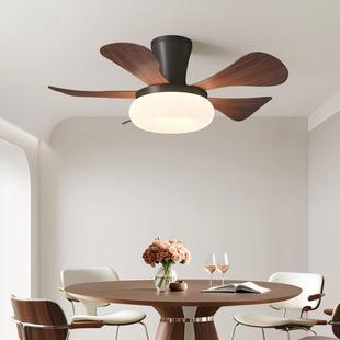 walnut paragraph new the fan invisibility wood old The