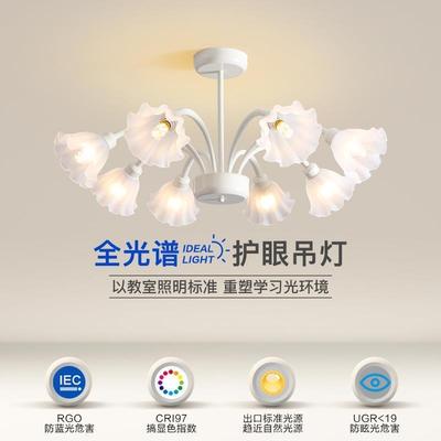 The living room chandeliers full-spectrum eye-protector rom