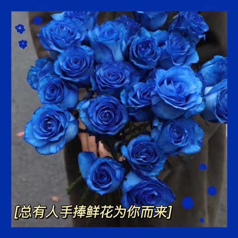 假花 ins风蓝色妖姬蓝色玫瑰仿真花高颜值浪漫绒布拍照装饰花绢花 鲜花速递/花卉仿真/绿植园艺 仿真花 原图主图