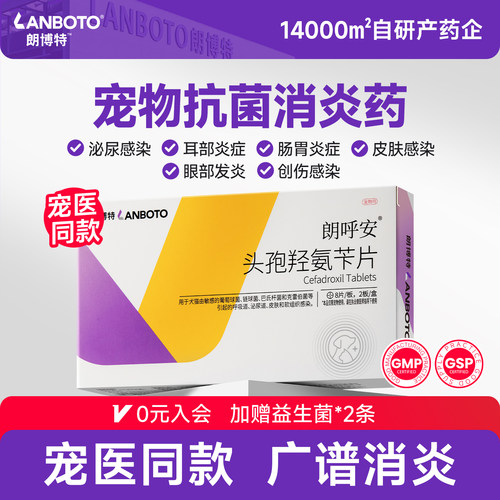 朗博特猫咪狗狗消炎药宠物专用