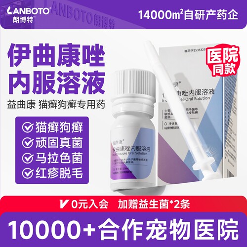 朗博特伊曲康唑内服溶液