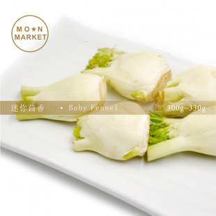 VGBB Baby Fennel 5pcs ( 300-330 g ) 迷你茴香