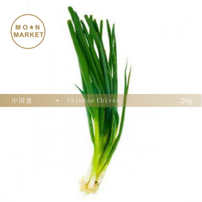 中国葱ChineseChives20g