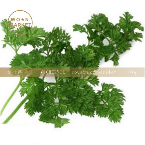 VGBB细叶芹 Chervil - cousin of parsley 30g