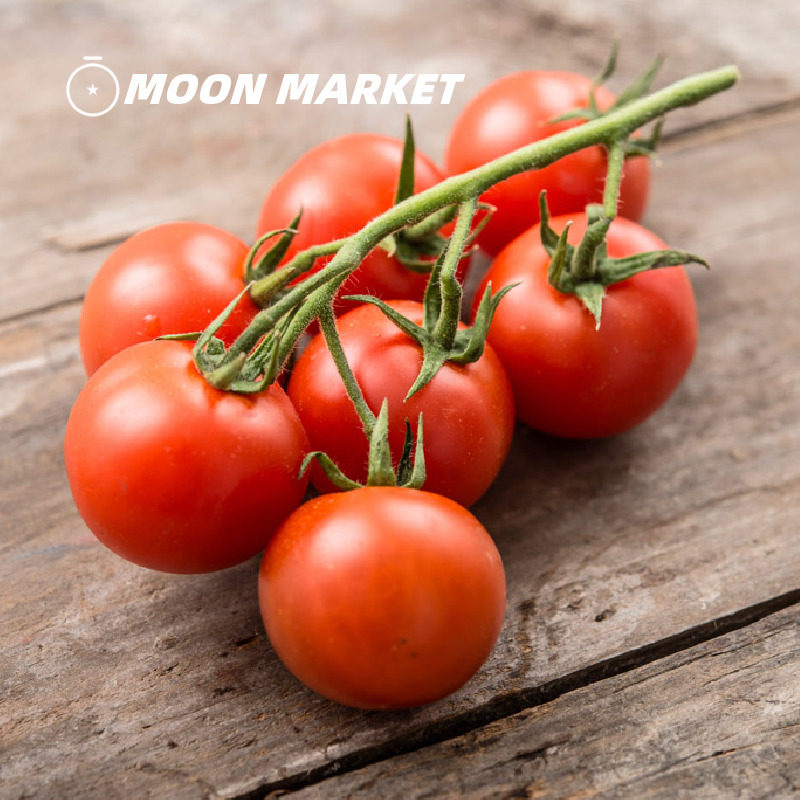 vgbb【只供江浙沪】樱桃串番茄 red cherry tomatoes on the vine
