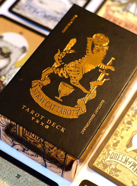【现货】进口黑色流浪猫塔罗牌Stray cat black edition正版taluo