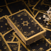 初学者入门基础卡罗牌 新世纪韦特塔罗牌Tarot 正版 78张黑色金箔款