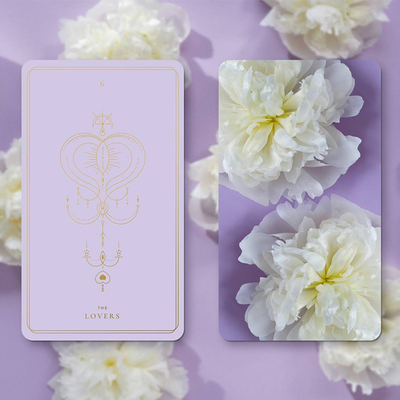 当天发货原装正版镀金边